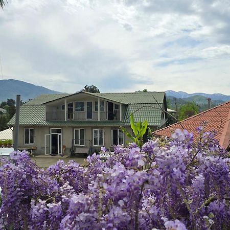 Olga'S Home 巴统 外观 照片