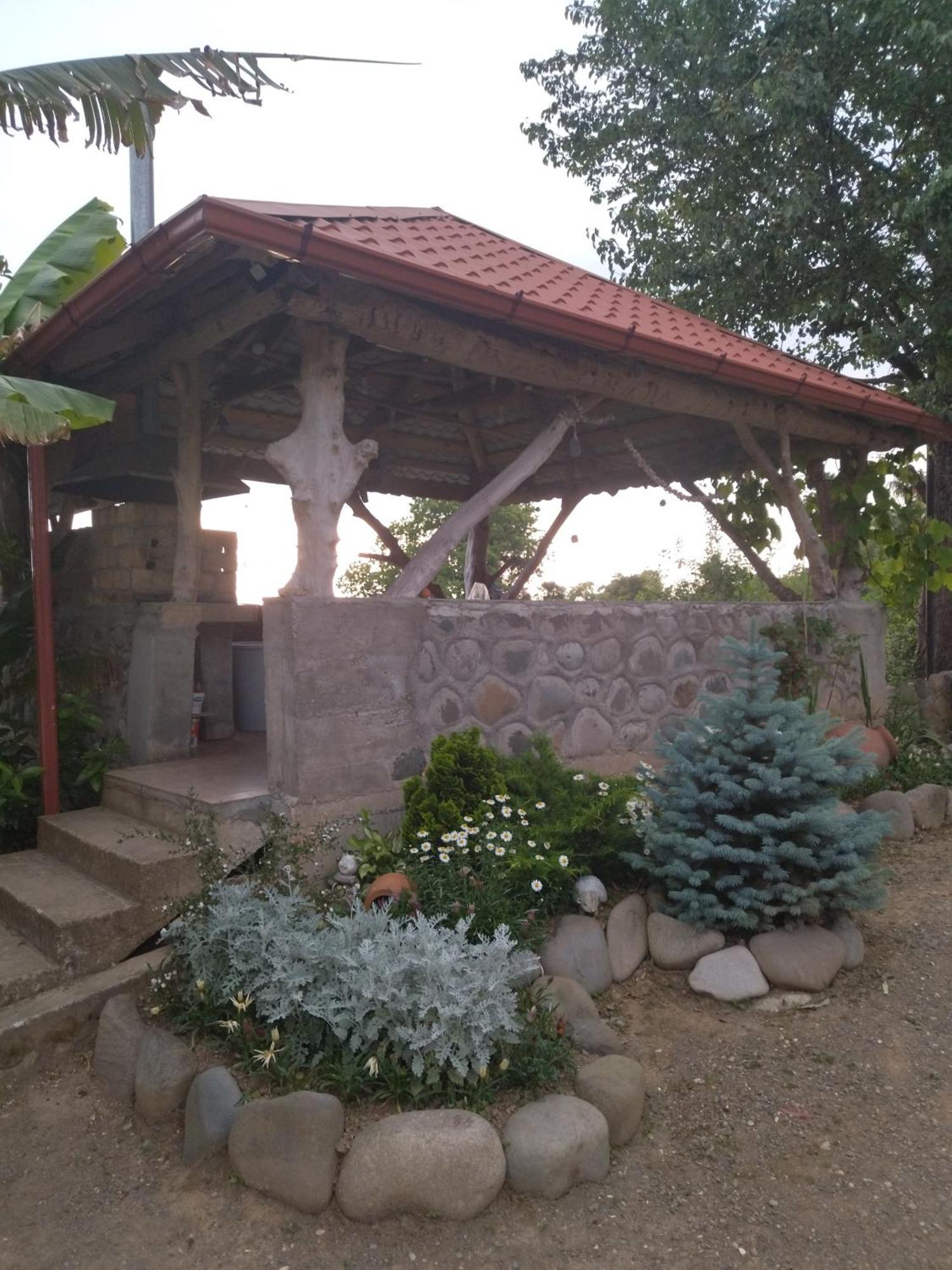 Olga'S Home 巴统 外观 照片