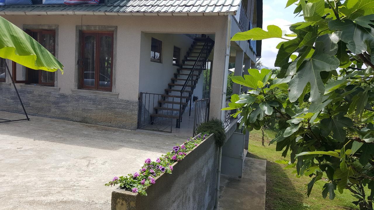 Olga'S Home 巴统 外观 照片