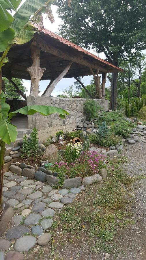 Olga'S Home 巴统 外观 照片
